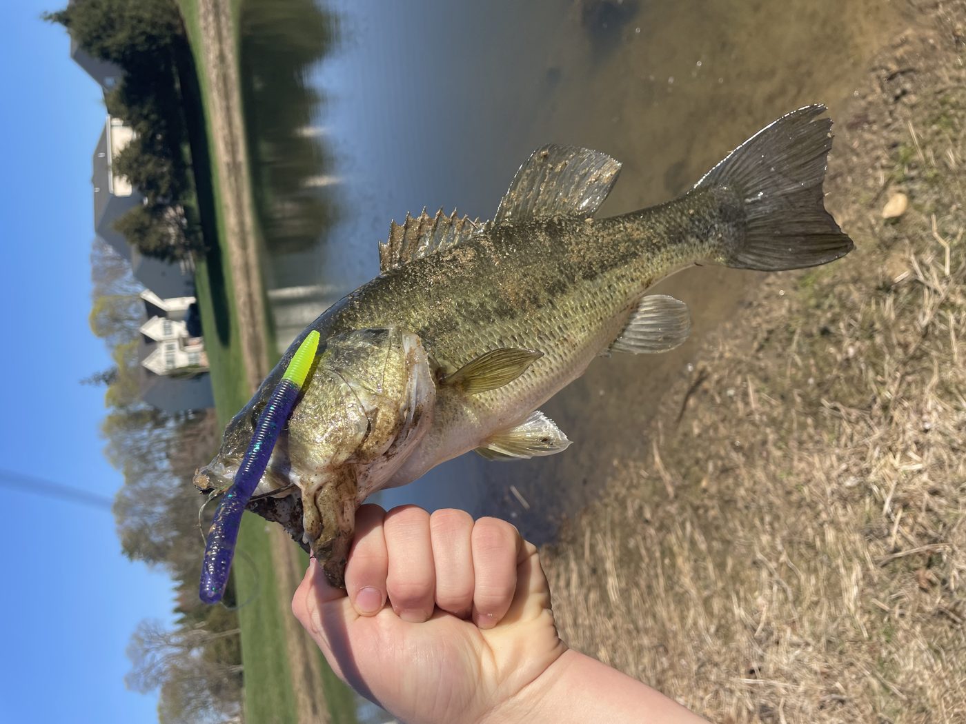 Backwaterbaitworks photo 1