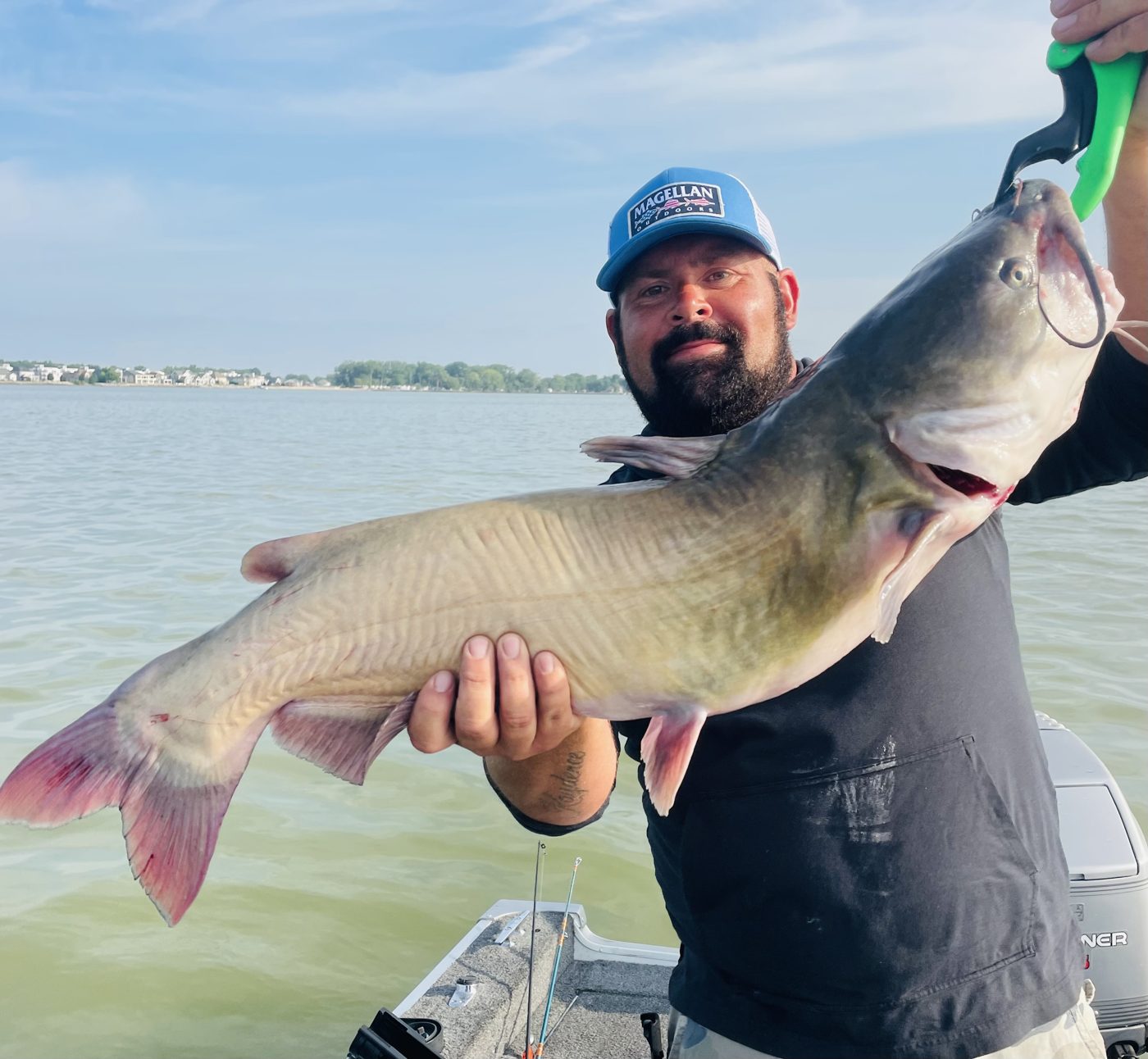 Bling n Eye Baits photo 6