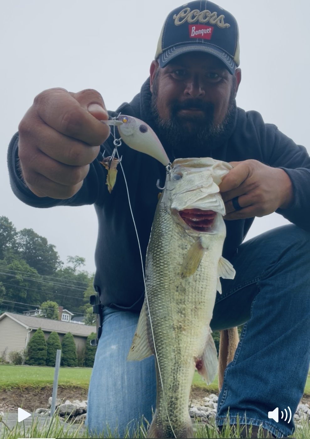 Bling n Eye Baits photo 5