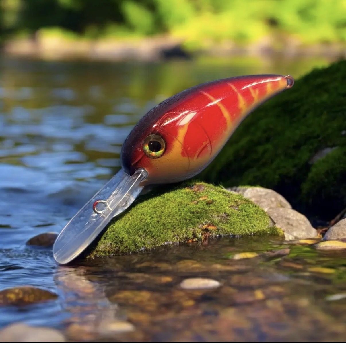 Dark Side Custom Lures photo 3