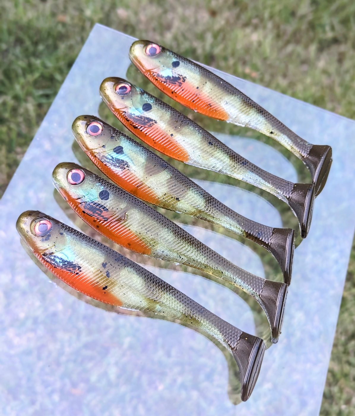 Ditch Pickle Baits photo 2