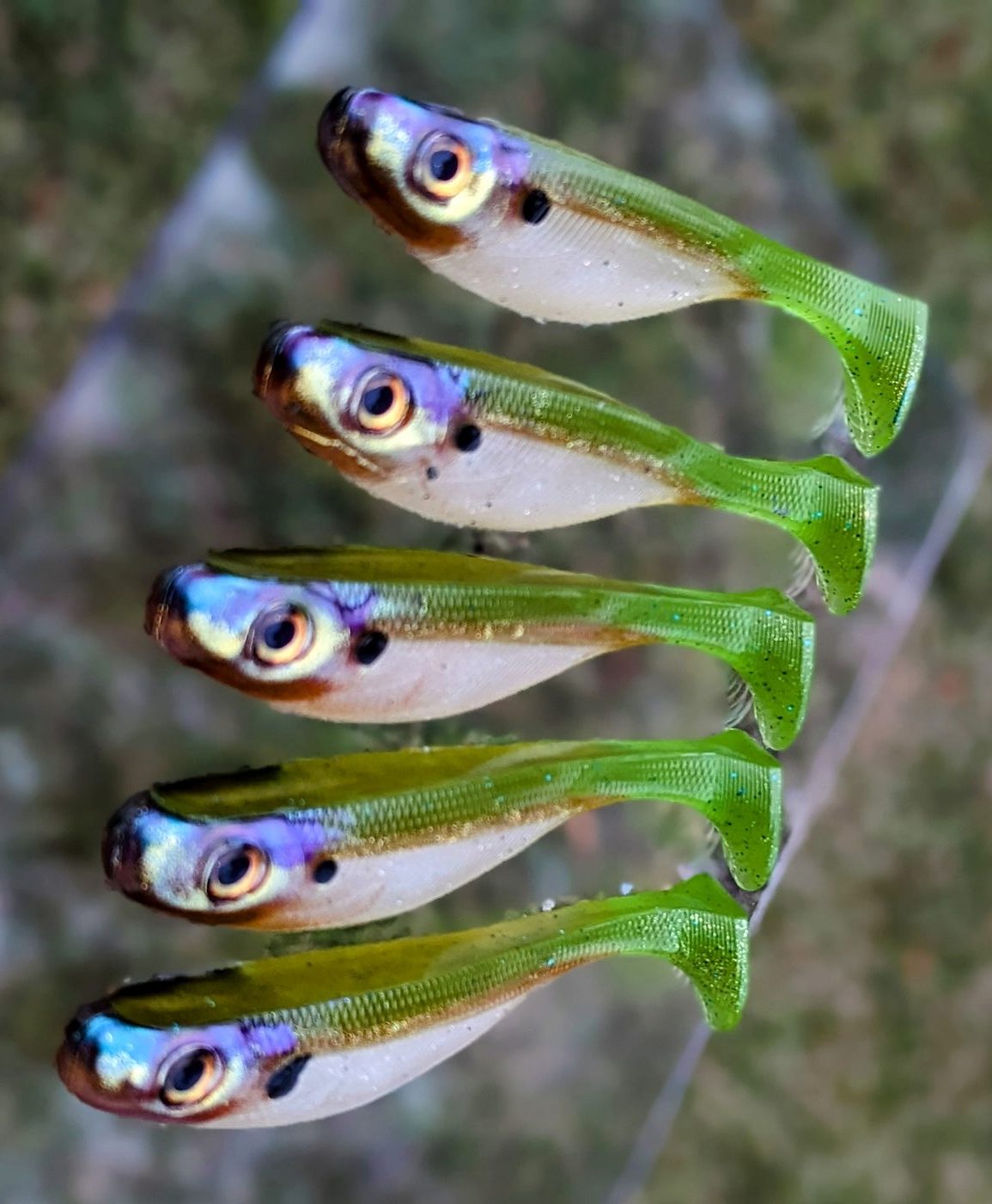 Ditch Pickle Baits photo 3