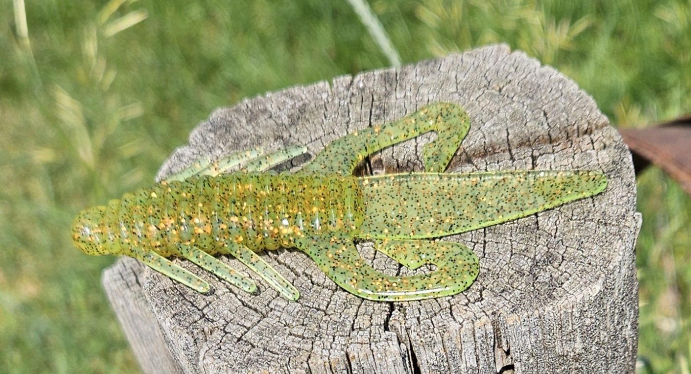 Frag Out Fishing photo 4