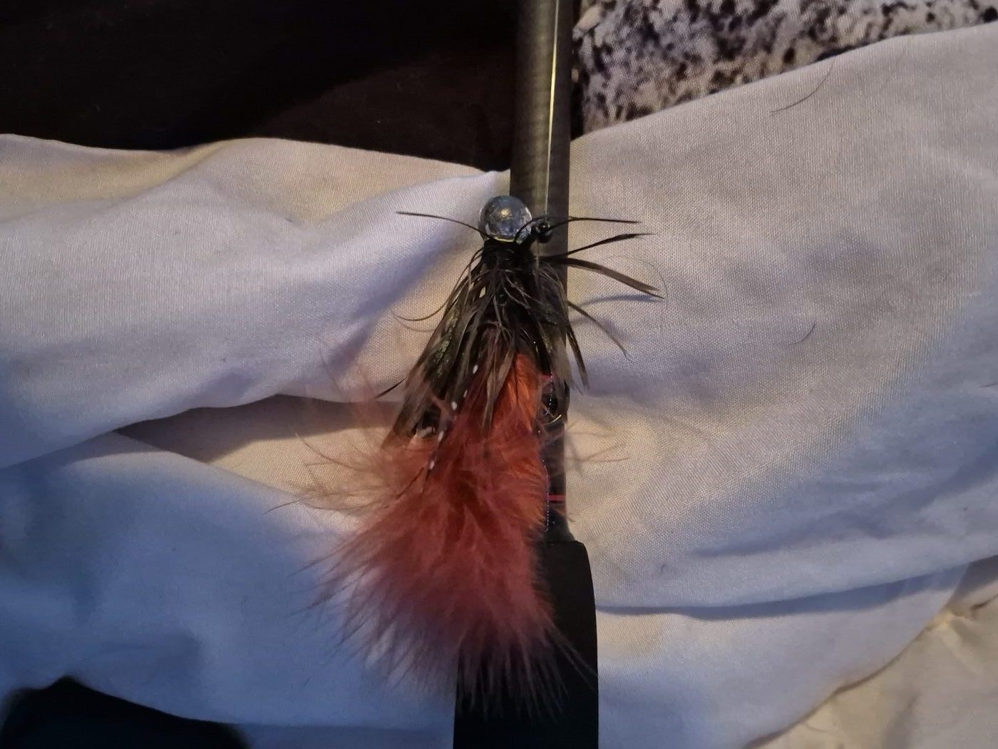 Little Gus Baits photo 4