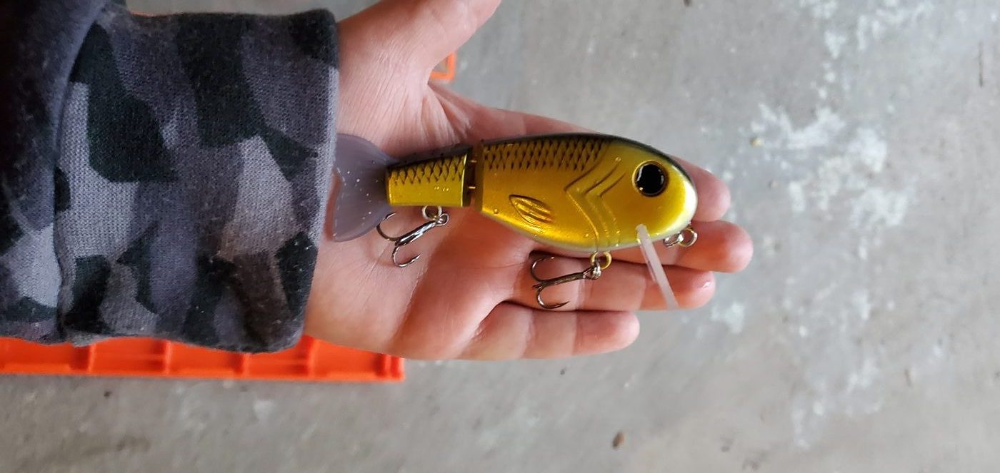 Little Gus Baits photo 6