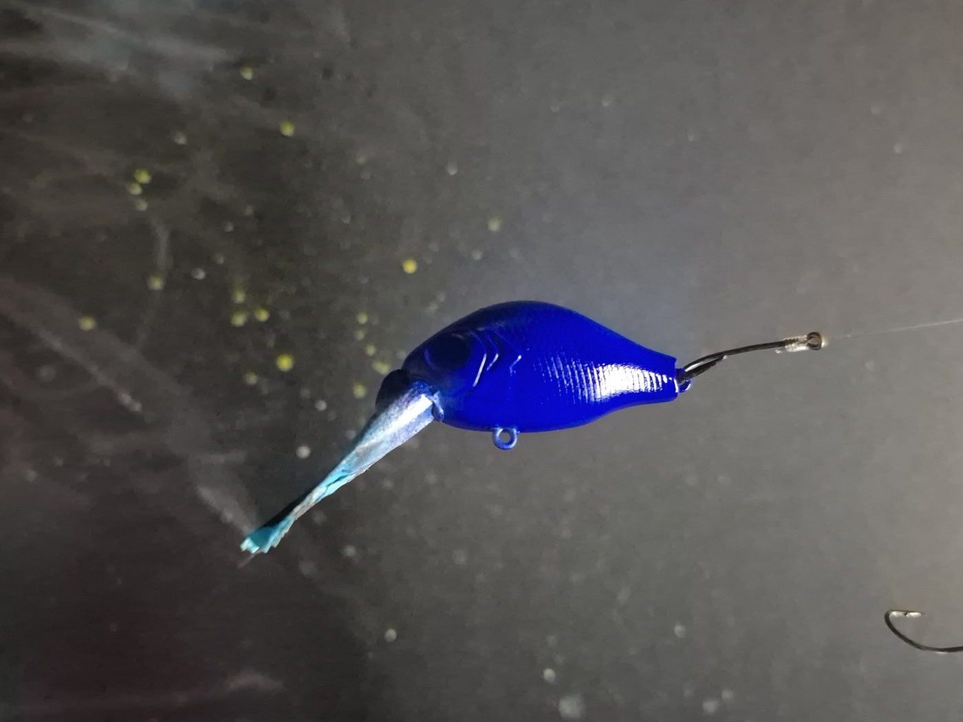 Little Gus Baits photo 2