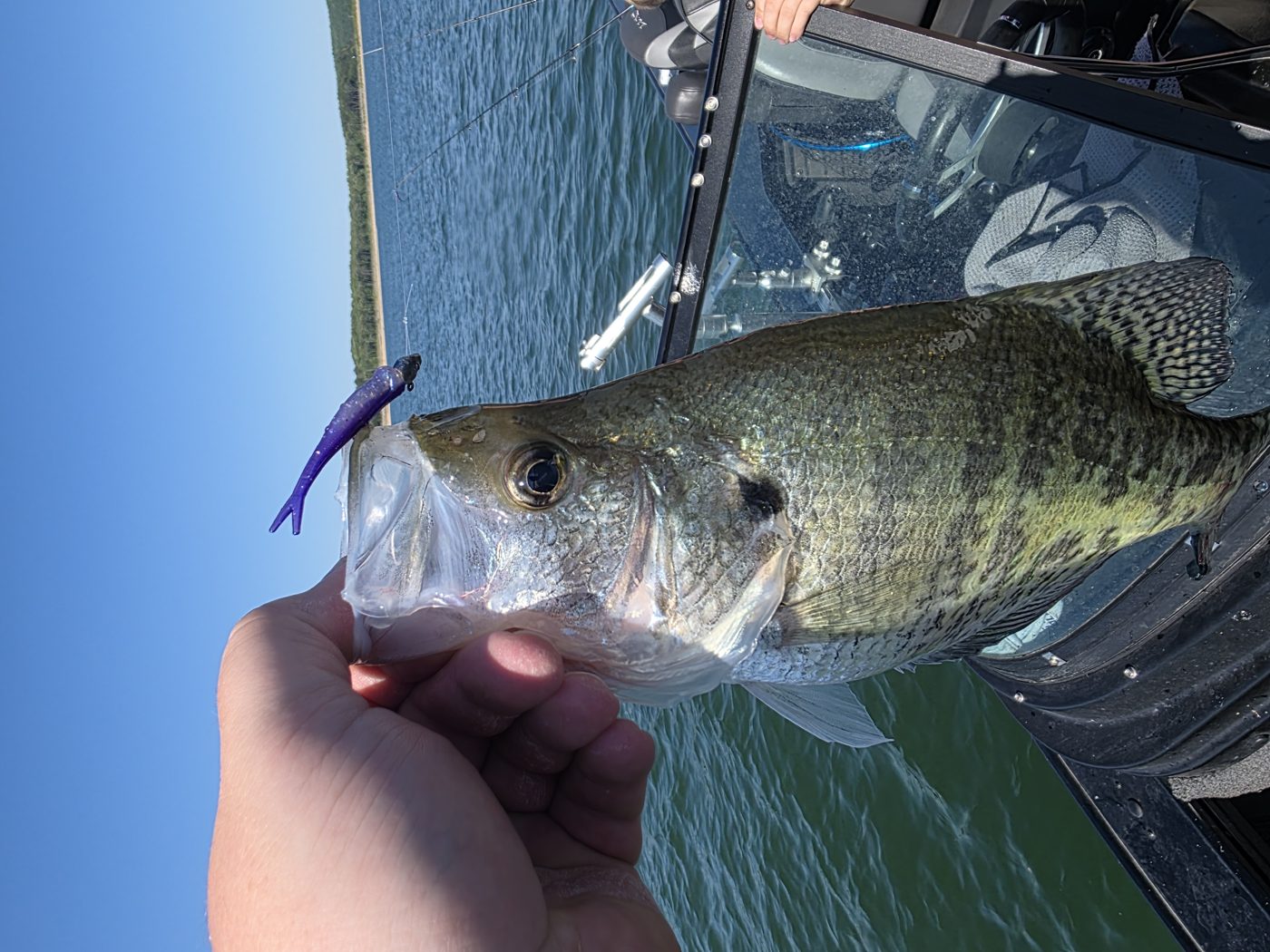 MOARK Bait Co. photo 4