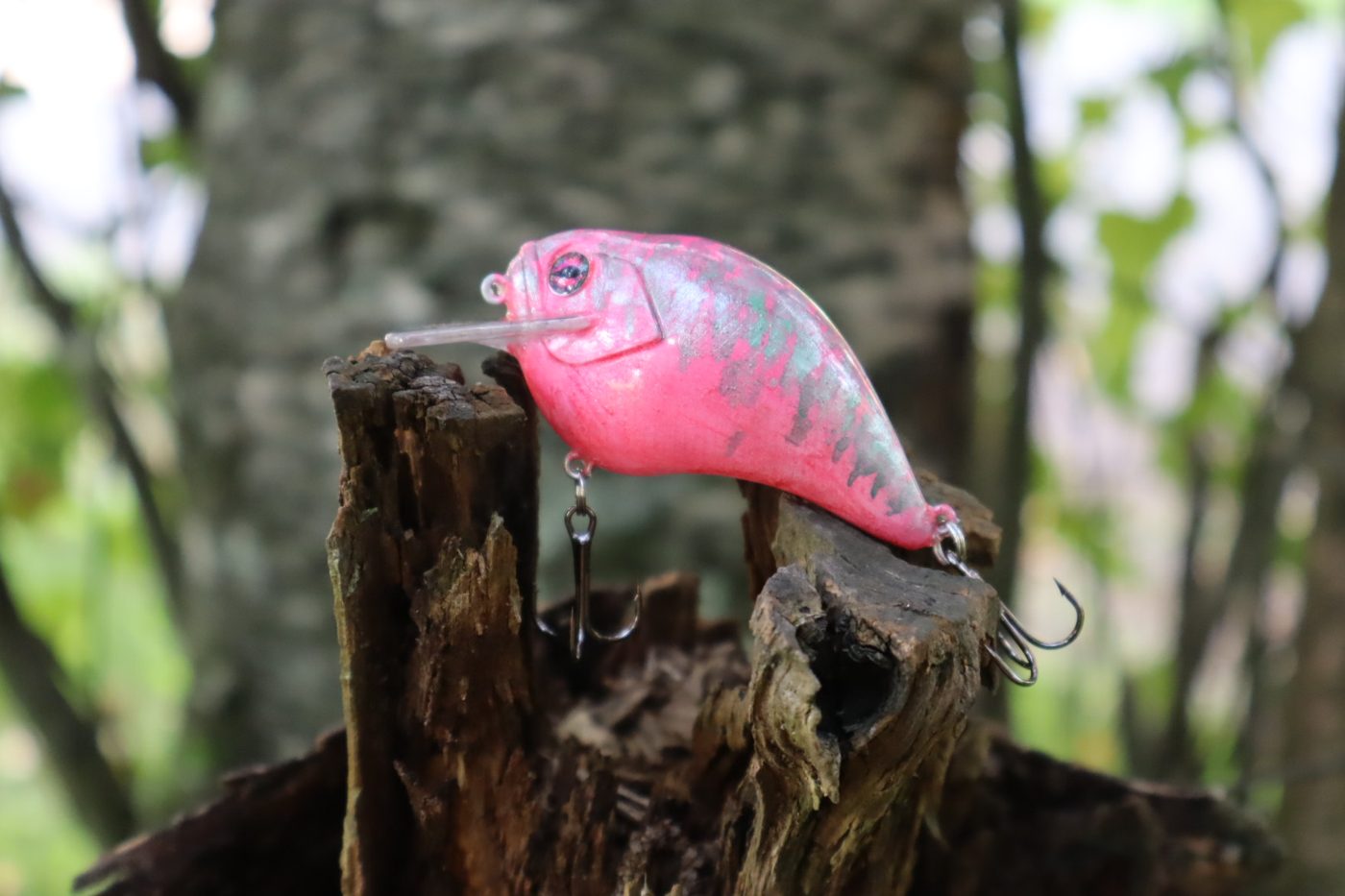 N.E.O. Baits photo 5