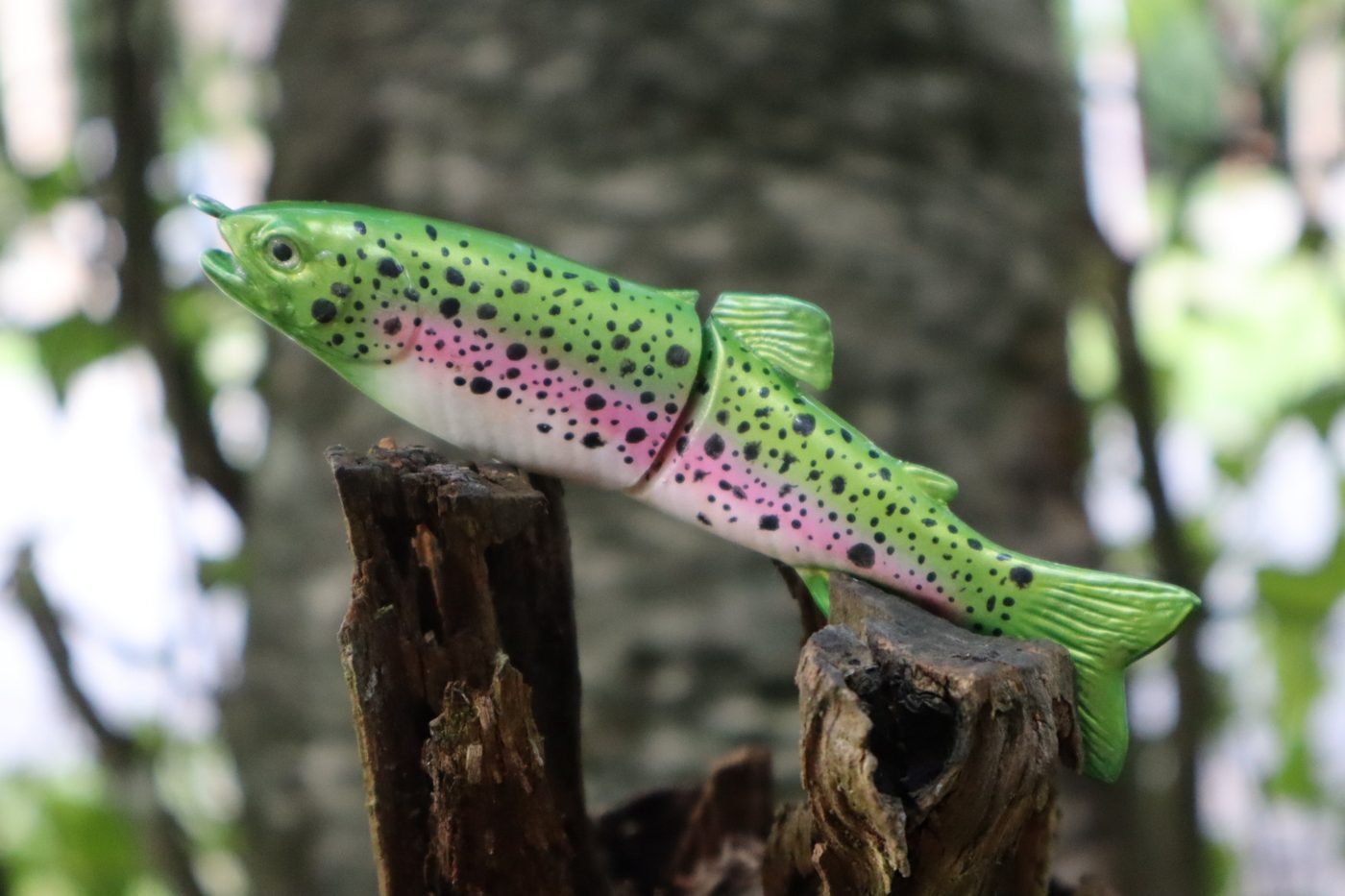 N.E.O. Baits photo 2