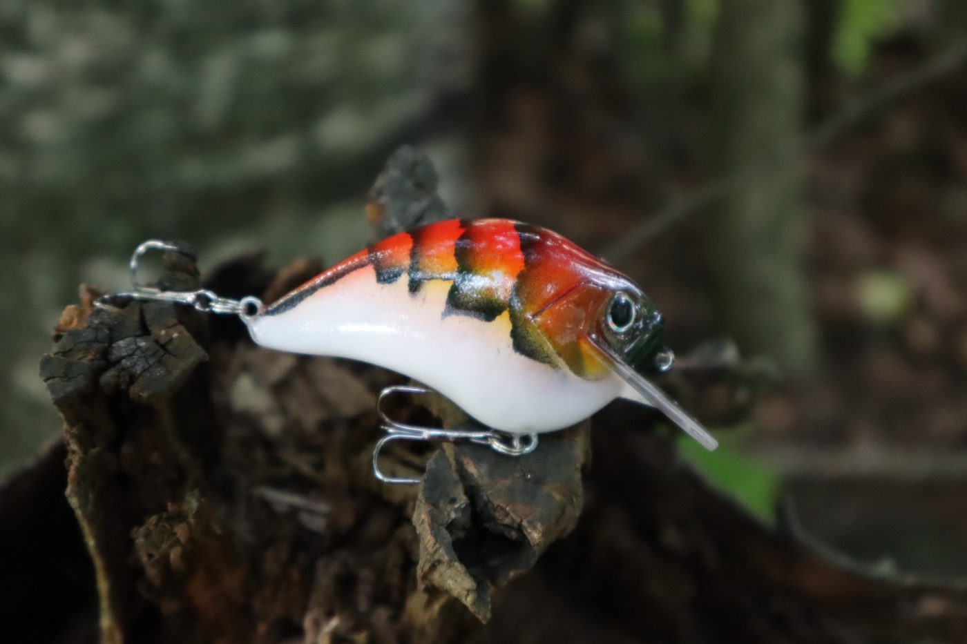 N.E.O. Baits photo 3