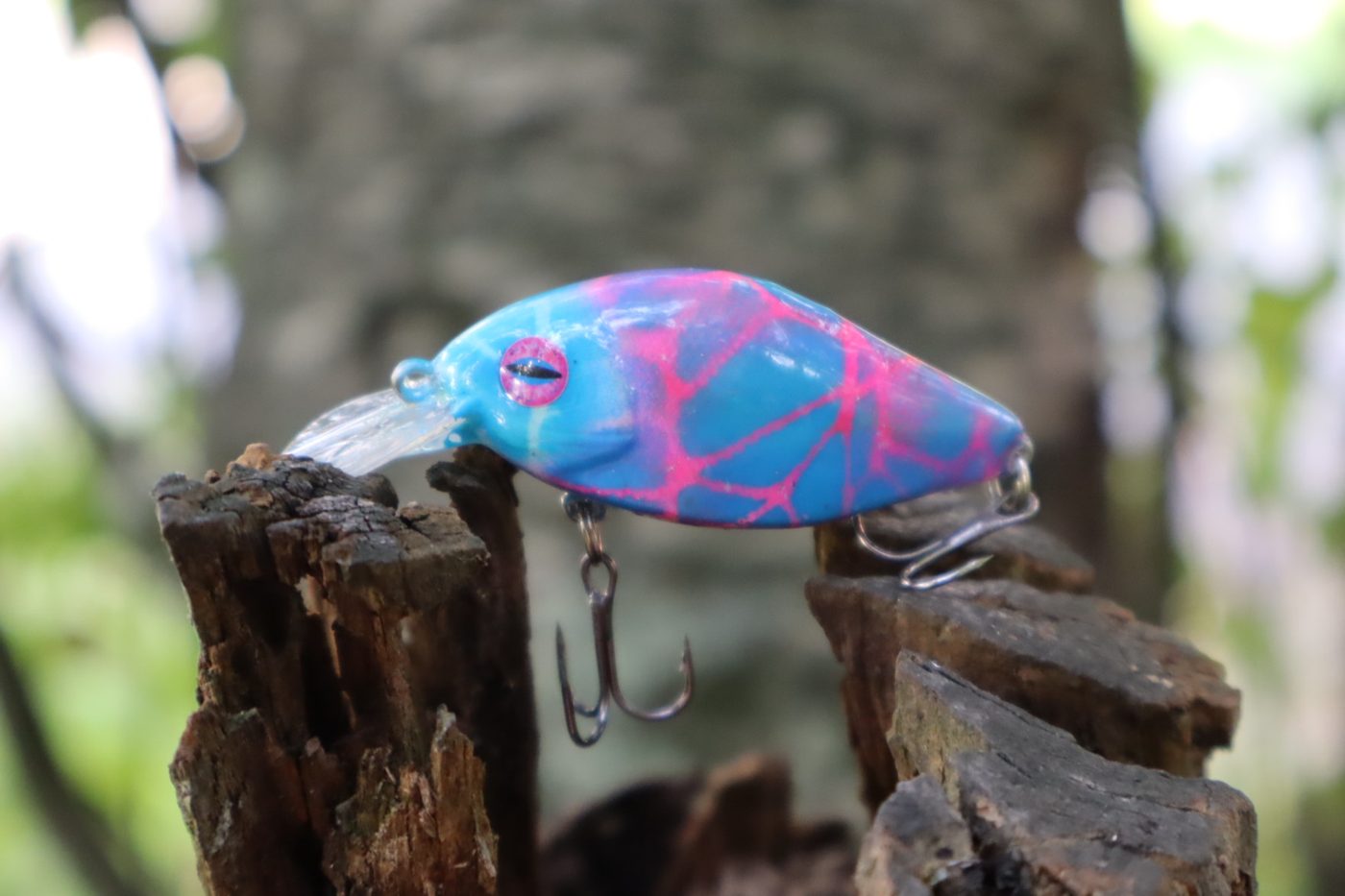 N.E.O. Baits photo 4