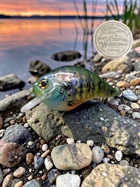 Pops' Custom Workshop photo 5