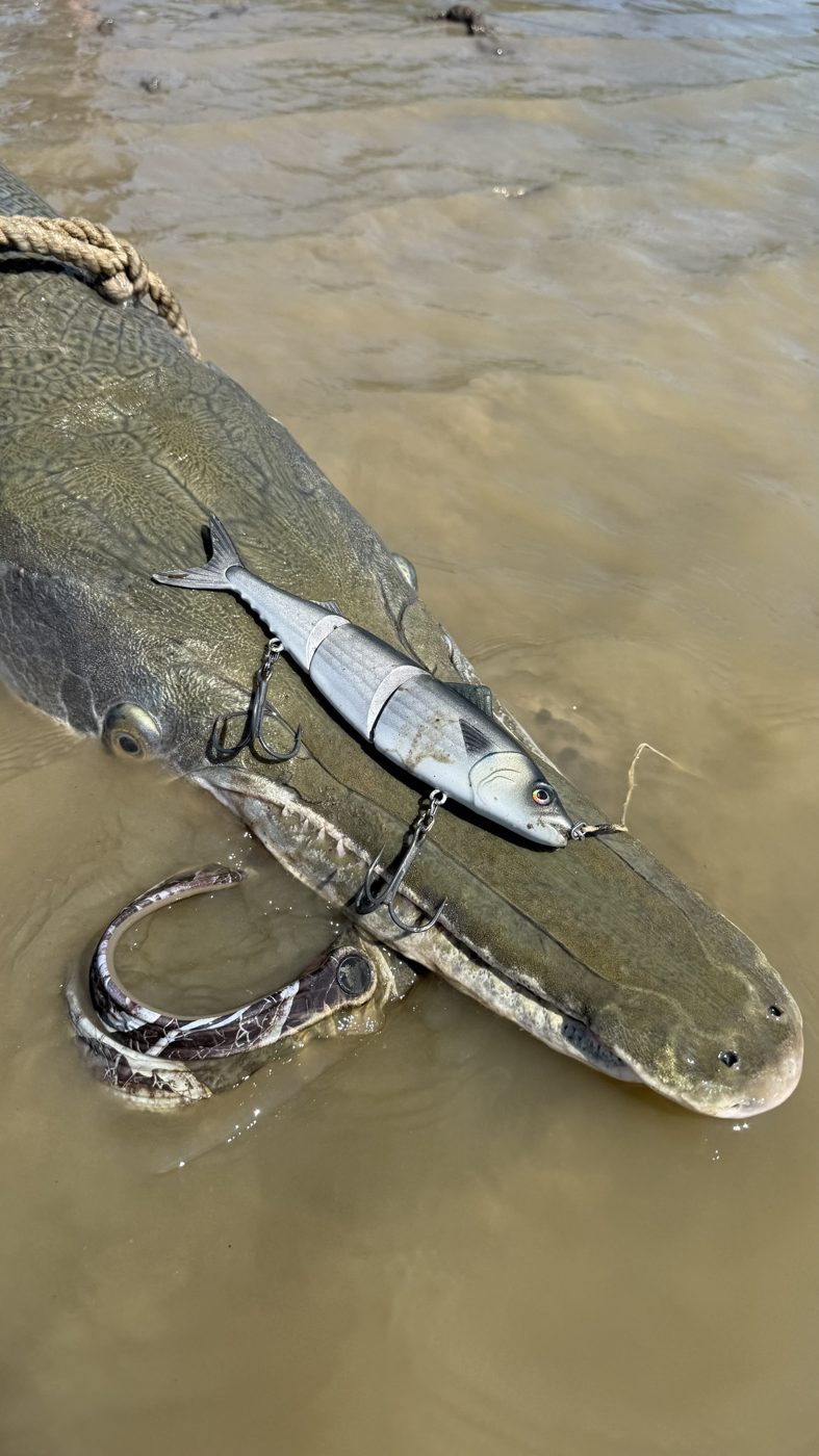 POSEIDON BAIT CO photo 5