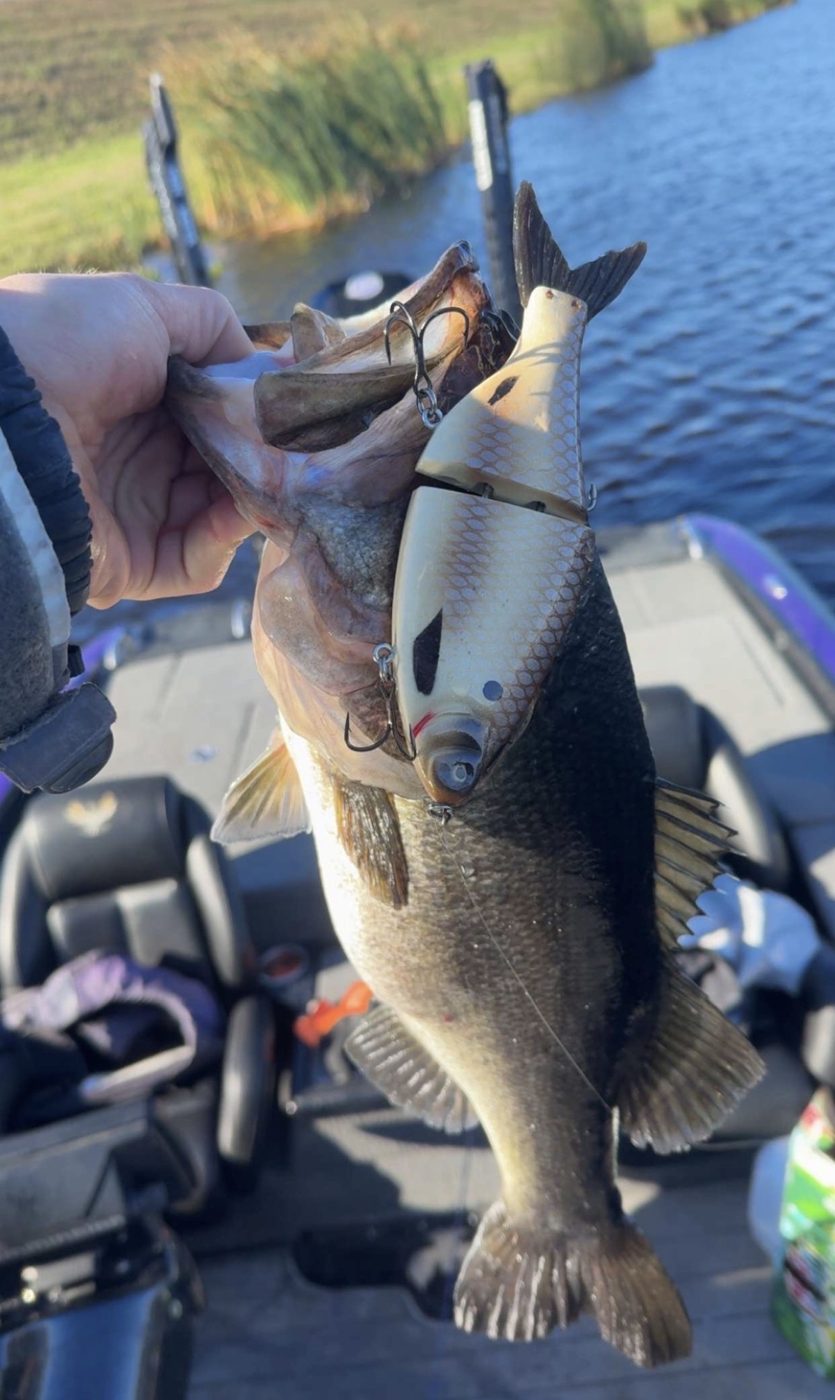 Sasquatch Jigs photo 5