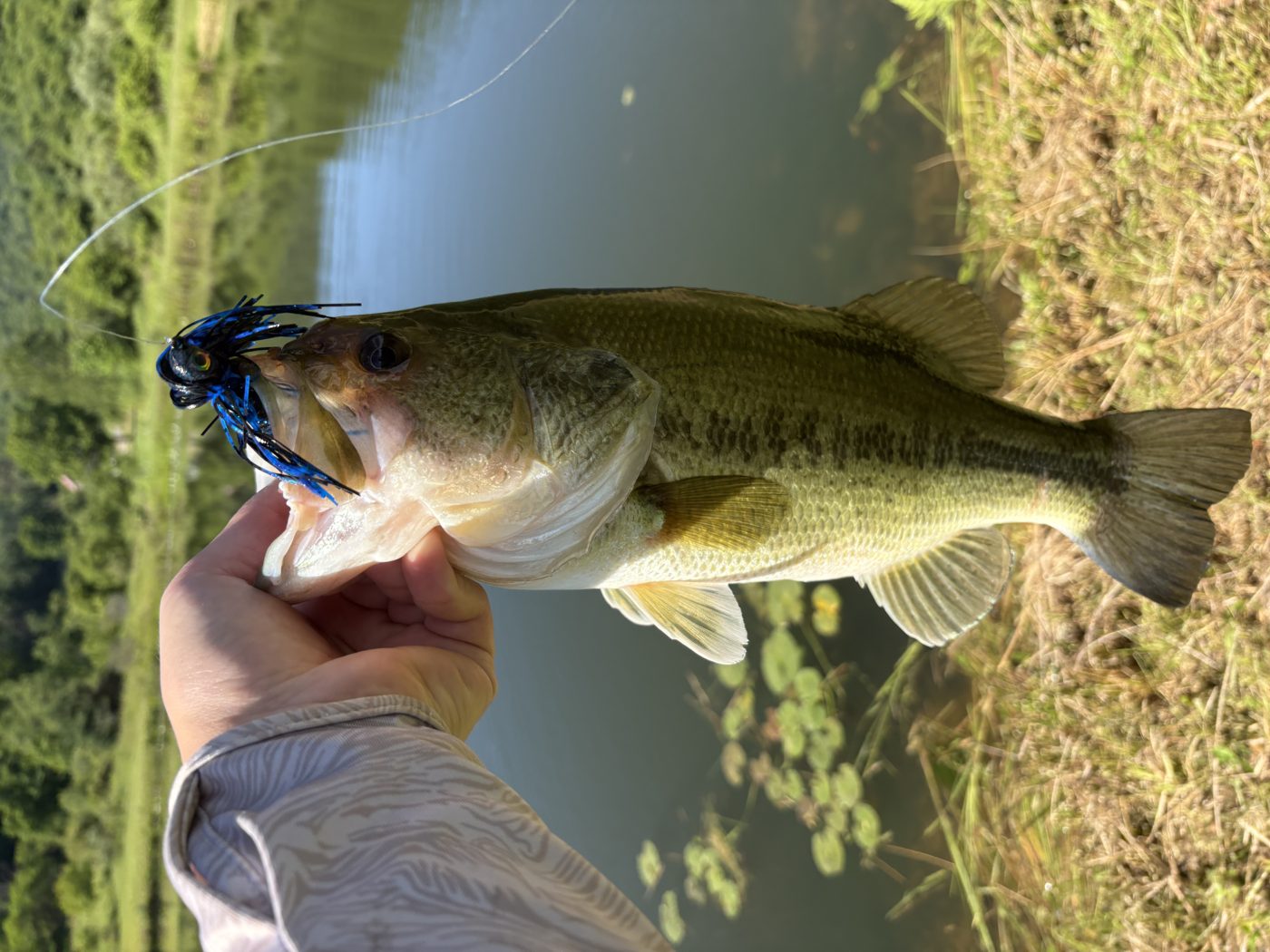 T-Dawg Baits photo 1