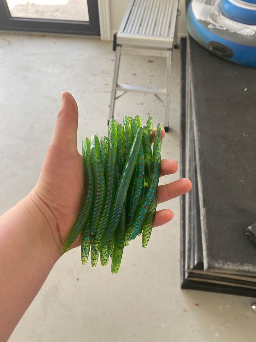 Wild baits photo 2