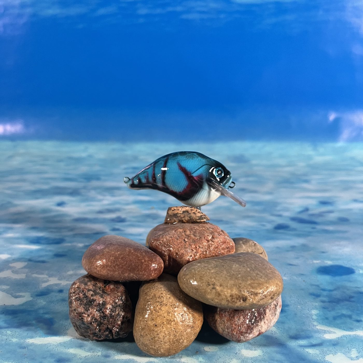 Yoshi’s Bait Company photo 3